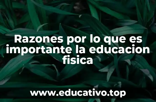 Razones por lo que es importante la educacion fisica