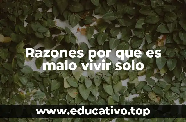 Razones por que es malo vivir solo