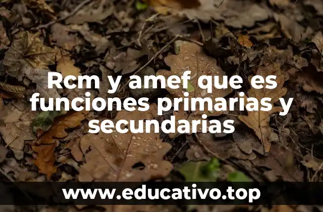 La importancia de identificar funciones primarias y secundarias en análisis de mantenimiento