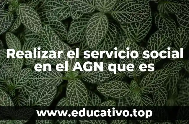 Realizar el servicio social en el AGN que es
