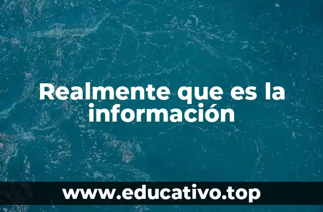 Realmente que es la información