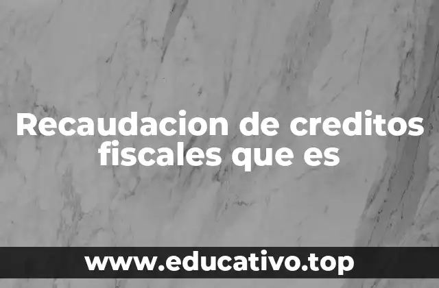 Recaudacion de creditos fiscales que es