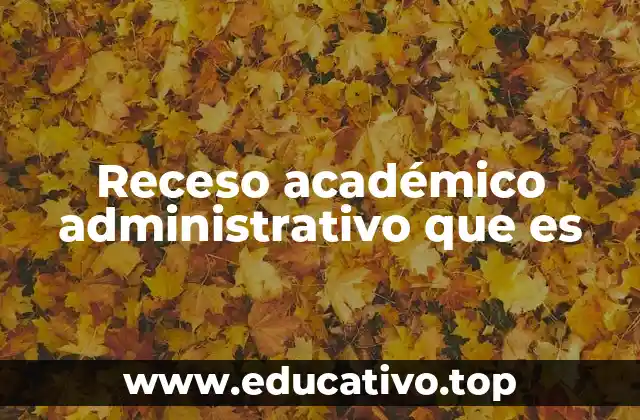 Receso académico administrativo que es
