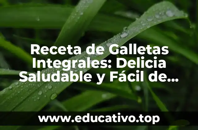 Receta de Galletas Integrales: Delicia Saludable y Fácil de Preparar