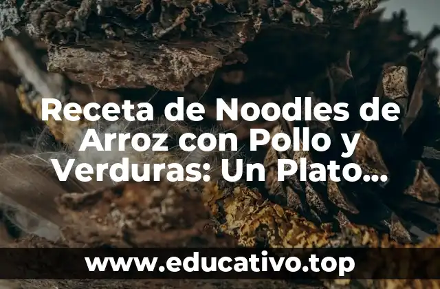 Receta de Noodles de Arroz con Pollo y Verduras: Un Plato Delicioso y Saludable