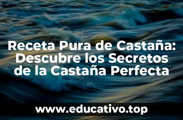 Receta Pura de Castaña: Descubre los Secretos de la Castaña Perfecta