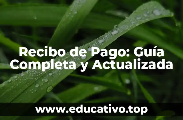 Recibo de Pago: Guía Completa y Actualizada