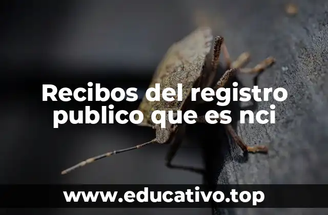 Recibos del registro publico que es nci