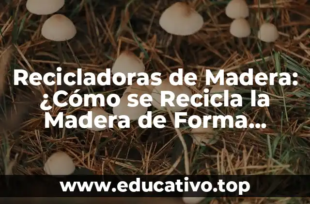 Recicladoras de Madera: ¿Cómo se Recicla la Madera de Forma Sostenible?