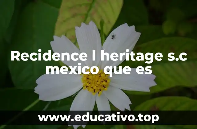 Recidence l heritage s.c mexico que es