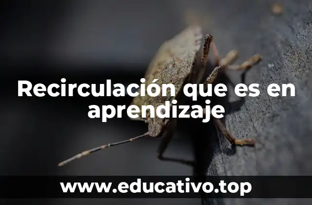 Recirculación que es en aprendizaje