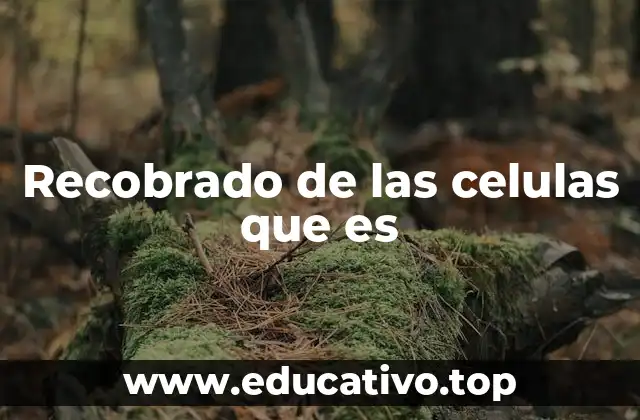 Recobrado de las celulas que es