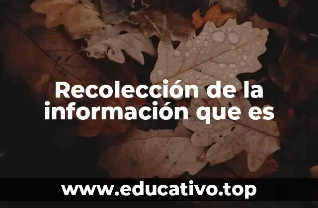 Recolección de la información que es