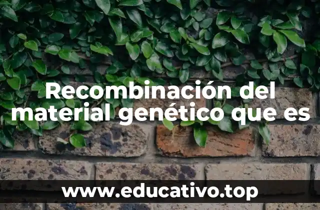 Recombinación del material genético que es