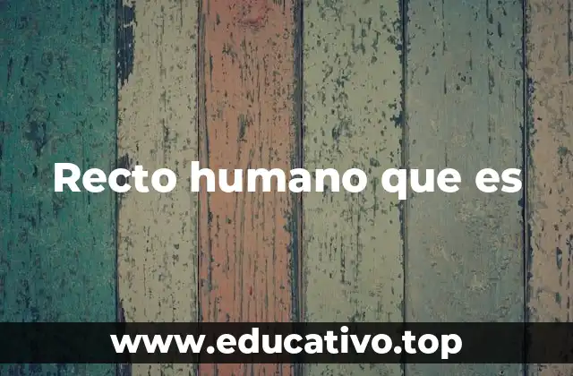 Recto humano que es