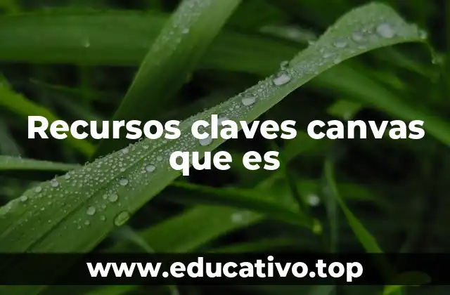 Recursos claves canvas que es