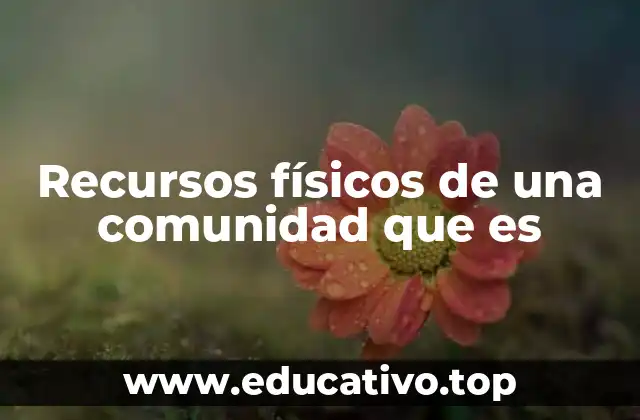 Recursos físicos de una comunidad que es