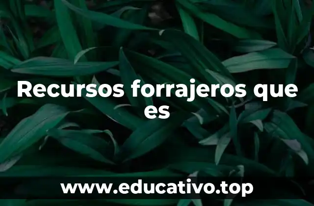 Recursos forrajeros que es