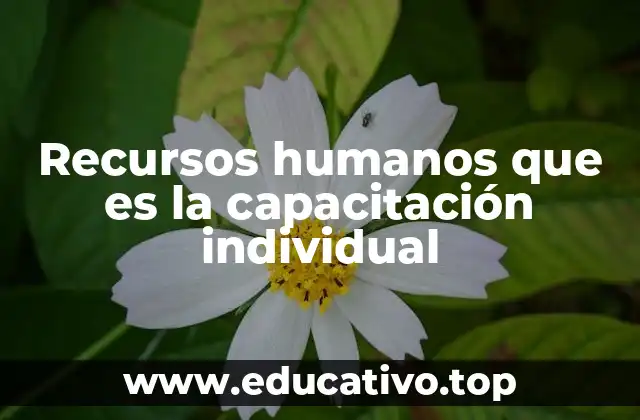 La importancia de personalizar la formación laboral