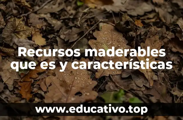 Recursos maderables que es y características