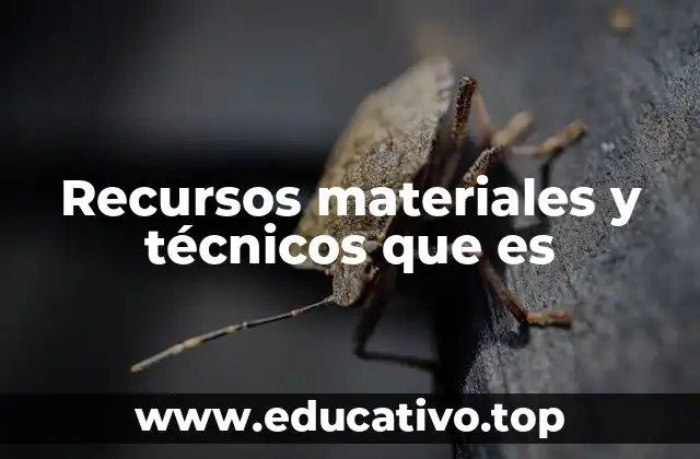 Recursos materiales y técnicos que es