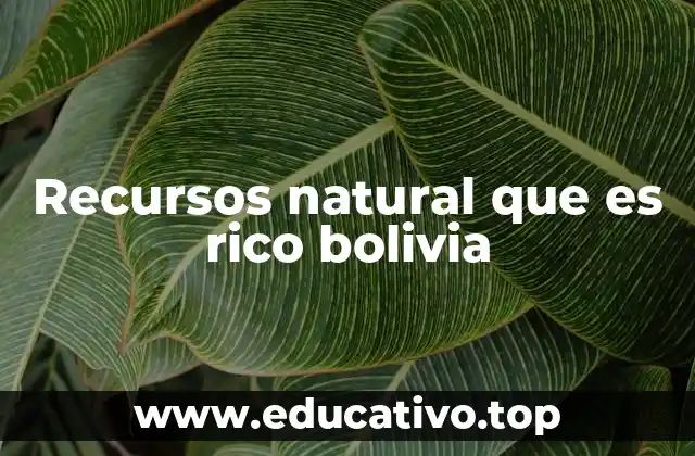 Recursos natural que es rico bolivia