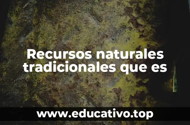 Recursos naturales tradicionales que es