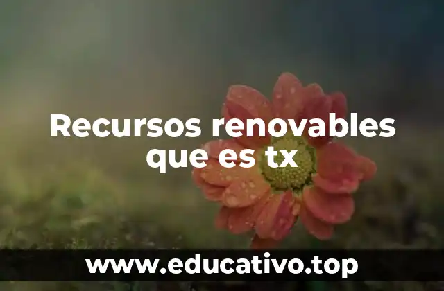 Recursos renovables que es tx