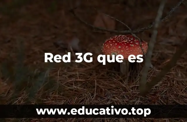 Red 3G que es