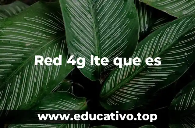 Red 4g lte que es