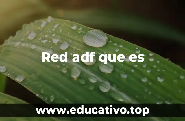 Red adf que es
