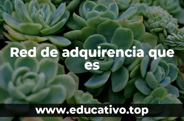 Red de adquirencia que es