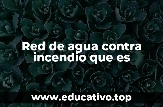 Componentes esenciales de una red de agua contra incendio