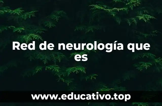 Cómo funciona una red de neurología