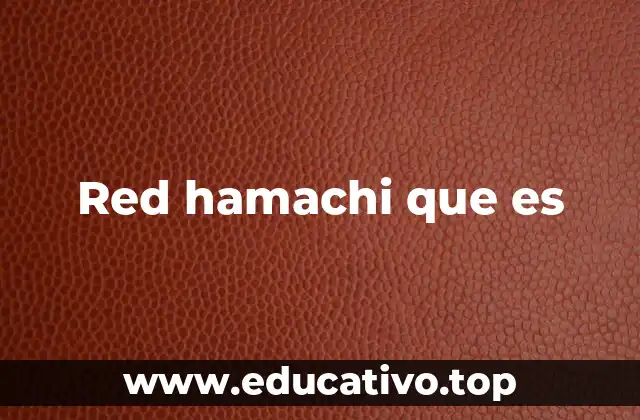 Red hamachi que es