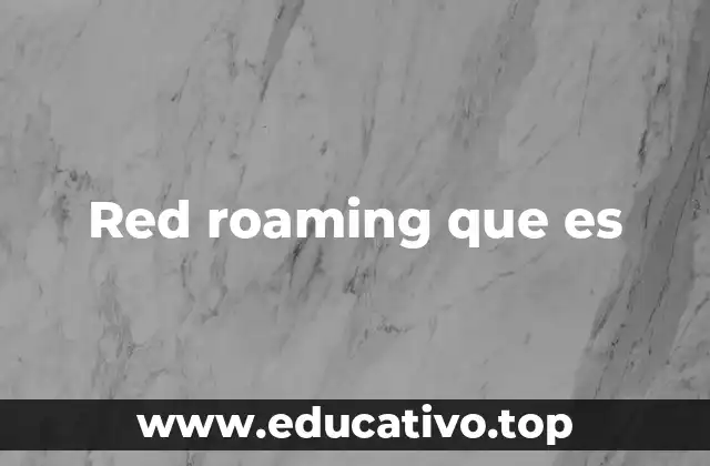 Red roaming que es