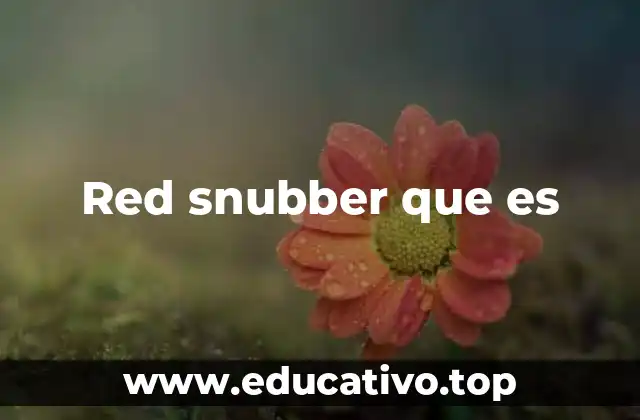 Red snubber que es