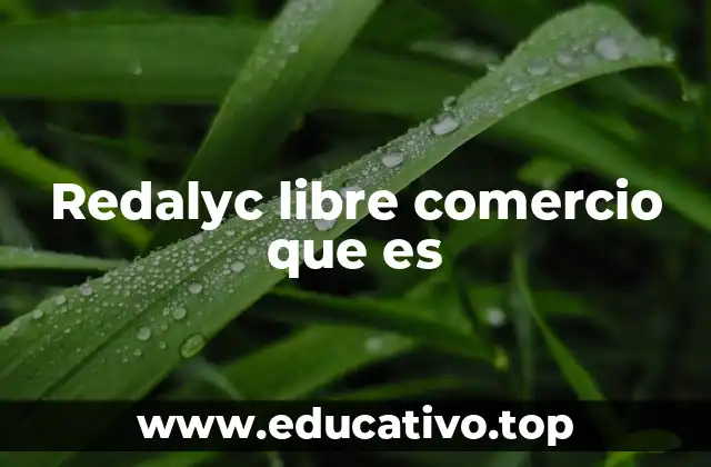 Redalyc libre comercio que es