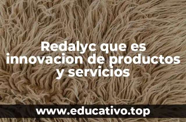 Redalyc que es innovacion de productos y servicios