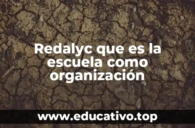 Redalyc que es la escuela como organización