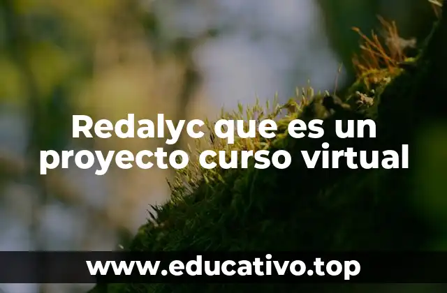 Redalyc que es un proyecto curso virtual