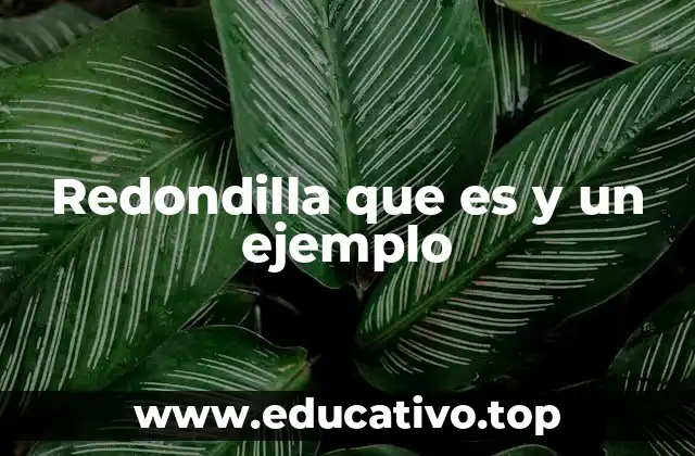 Redondilla que es y un ejemplo