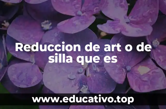 Reduccion de art o de silla que es
