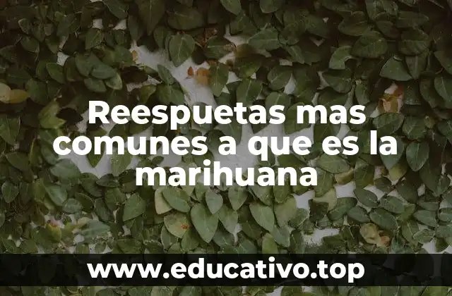 Reespuetas mas comunes a que es la marihuana