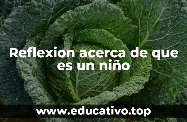 Reflexion acerca de que es un niño