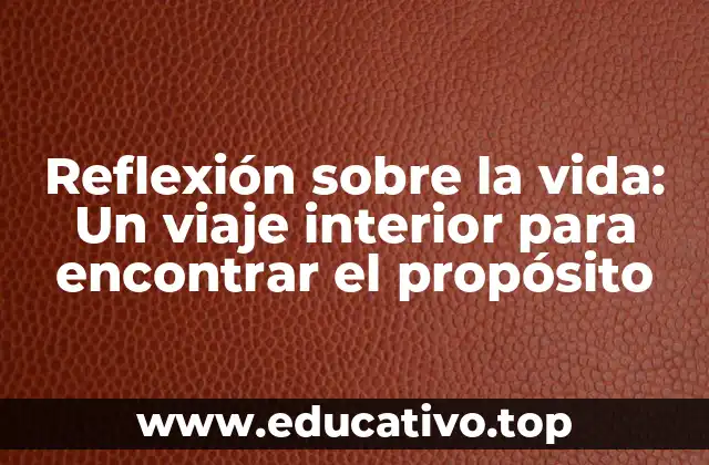 Reflexión sobre la vida: Un viaje interior para encontrar el propósito