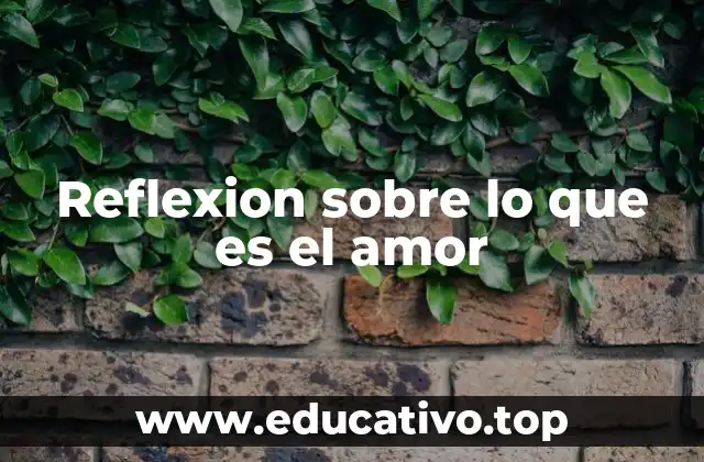 Reflexion sobre lo que es el amor