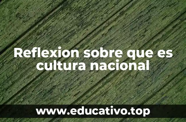 Reflexion sobre que es cultura nacional