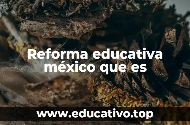 El impacto de la reforma educativa en la sociedad mexicana