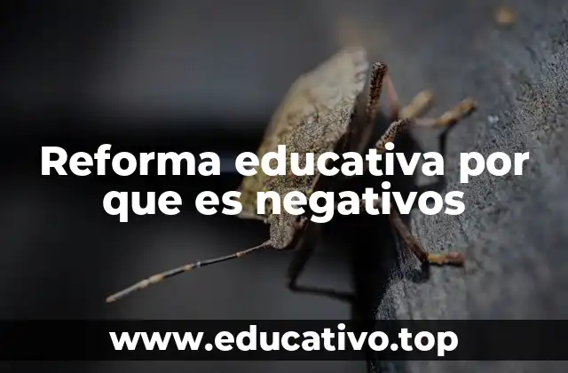 Reforma educativa por que es negativos